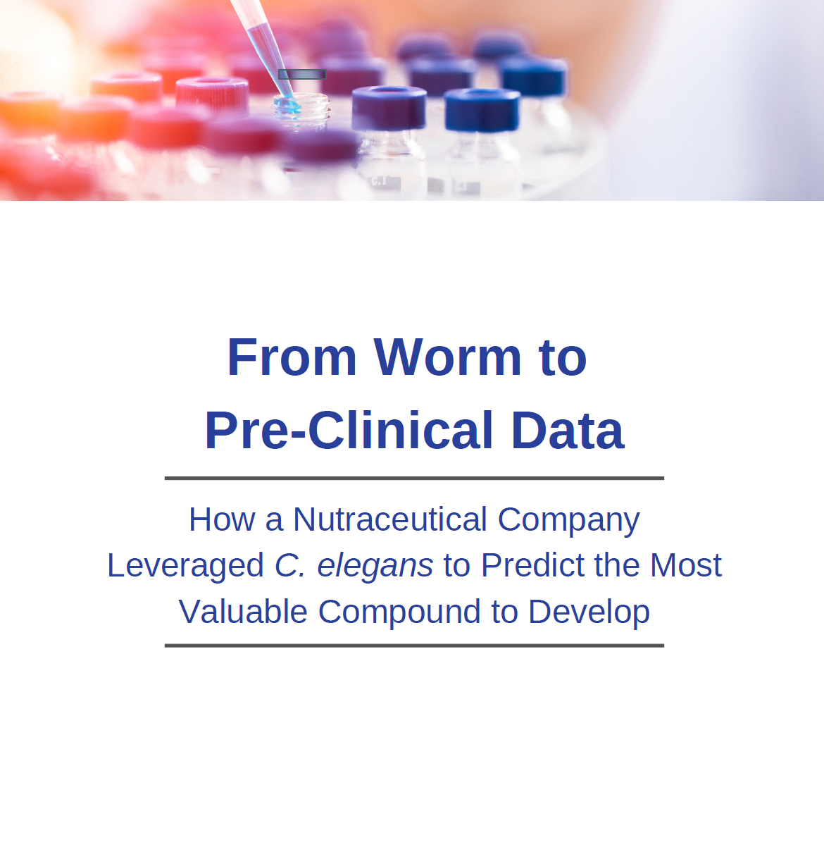 IVB Case Study